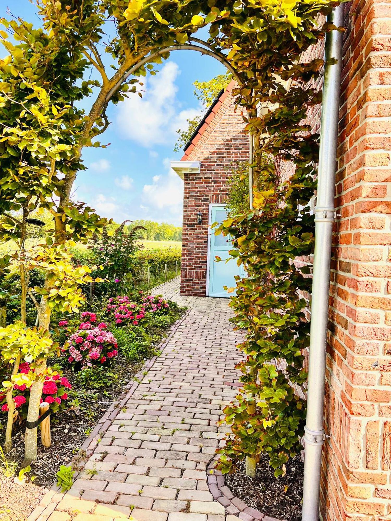 Beach&Forest Retreat -Domburg- Oostkapelle Exterior foto