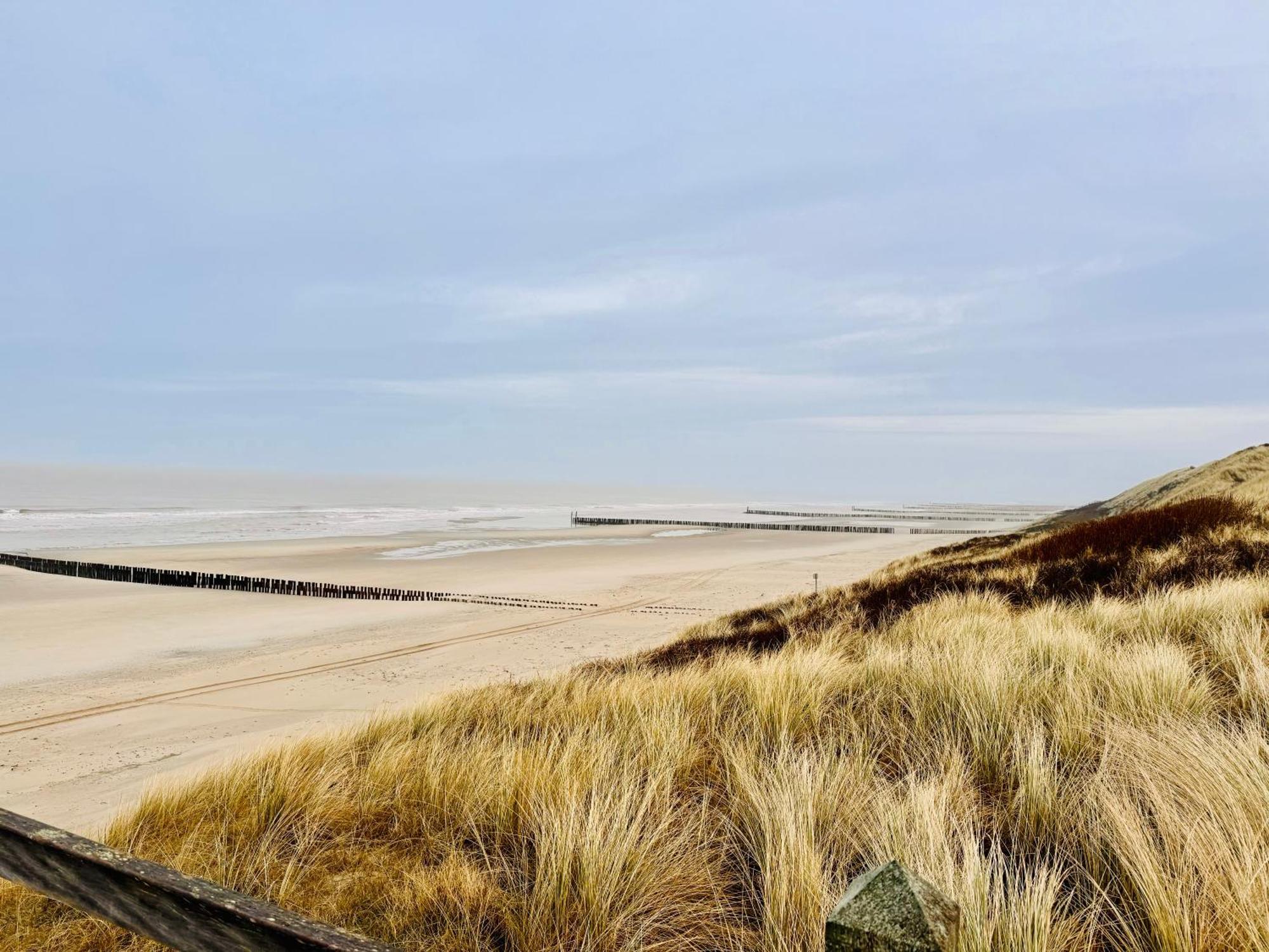 Beach&Forest Retreat -Domburg- Oostkapelle Exterior foto