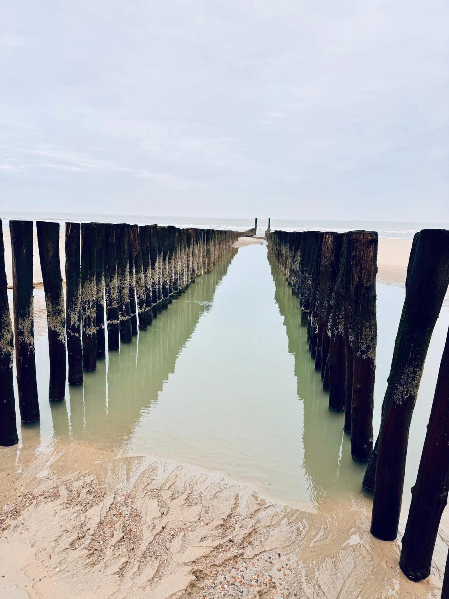 Beach&Forest Retreat -Domburg- Oostkapelle Exterior foto