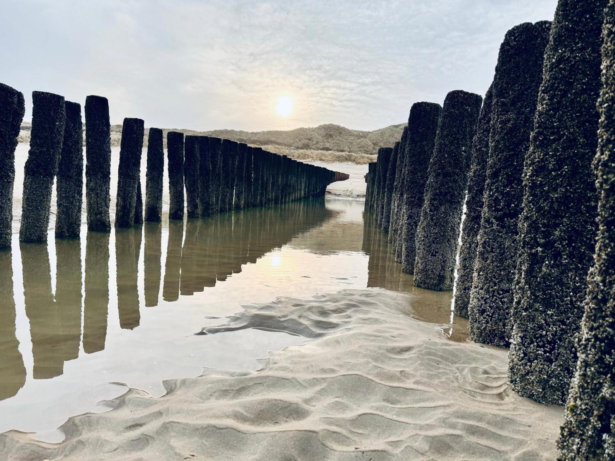 Beach&Forest Retreat -Domburg- Oostkapelle Exterior foto