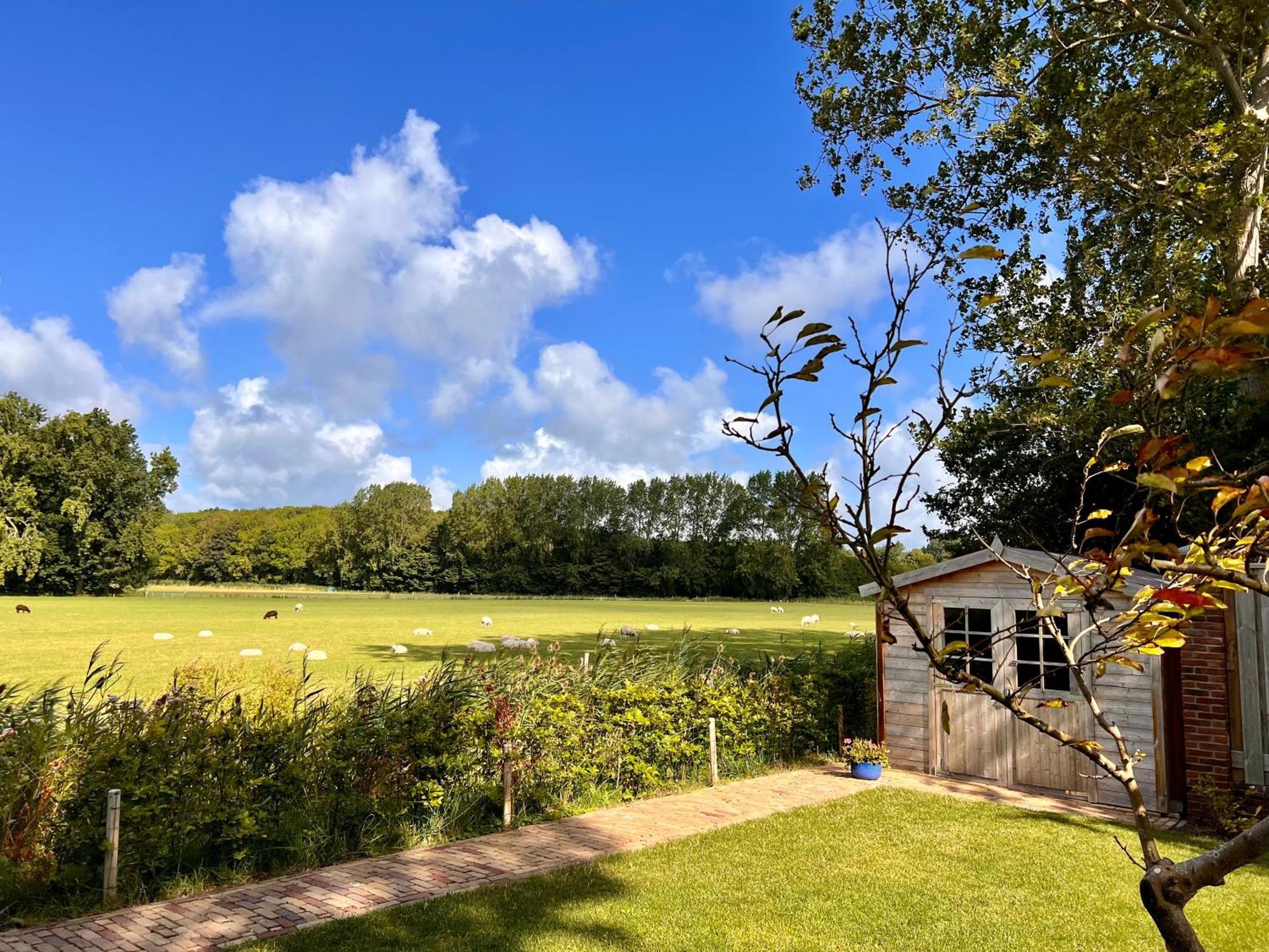 Beach&Forest Retreat -Domburg- Oostkapelle Exterior foto